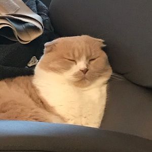 Meet your Posher, Sonia